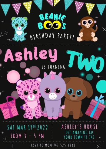 Beanie Boo Birthday Invitation